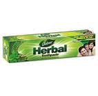 Herbal Toothpaste + Brush Free