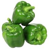 Capsicum Green